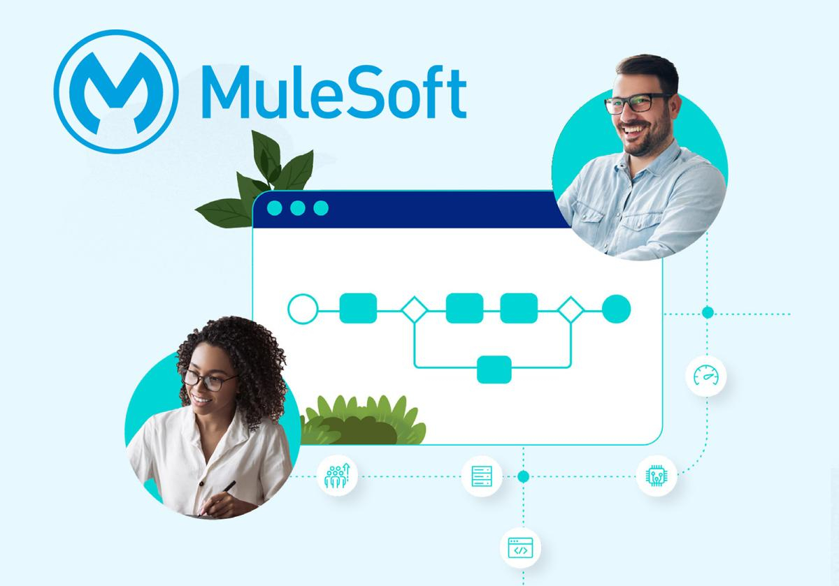 Mulesoft Lunch