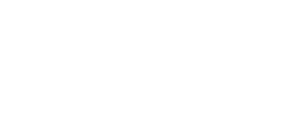 Digital Vikings Logo