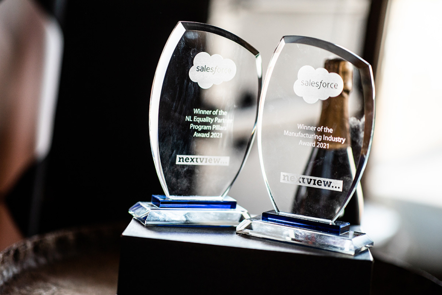  Salesforce Manufacturing Industry Award & Salesforce Equality Award