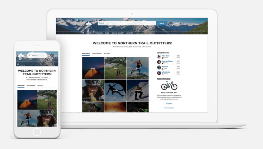 Salesforce Experience Cloud