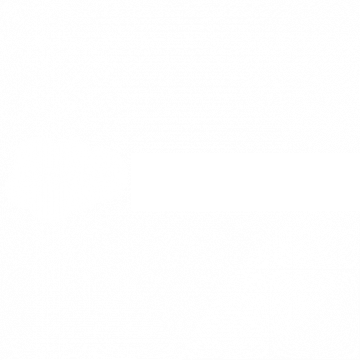 Einstein Discovery