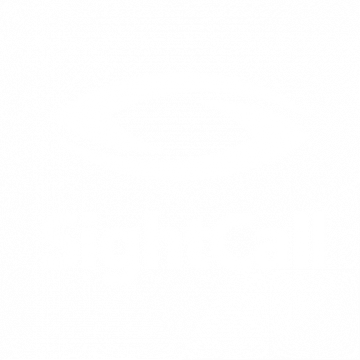 logo sightcall