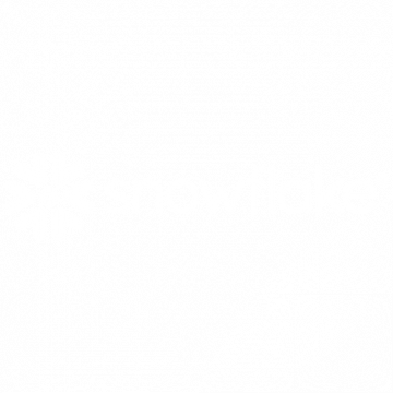 logo snowflake