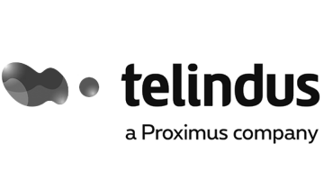 telindus(professional services)